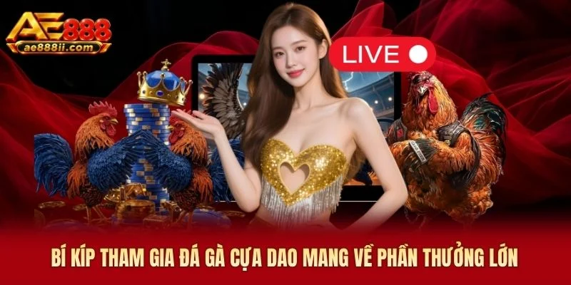 Bí kíp tham gia đá gà cựa dao AE888 mang về phần thưởng lớn