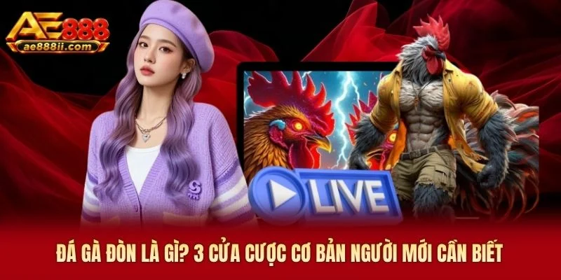 Đá Gà Đòn AE888 Là Gì? 3 Cửa Cược Cơ Bản Người Mới Cần Biết